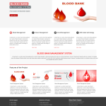 AWS Cloud Based Dynamic Blood Bank Website Report Synopsis Source Code