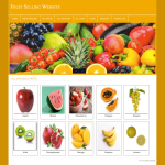 Fruit Selling Website Report Synopsis Source Code