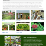 Online Nursery Store Report Synopsis Source Code